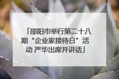 邵阳市举行第二十八期“企业家接待日”活动 严华出席并讲话