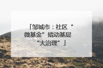 邹城市：社区“微基金”撬动基层“大治理”