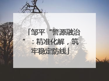 邹平“警源融治”：精准化解，筑牢稳定防线