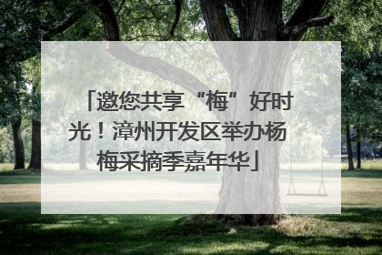邀您共享“梅”好时光！漳州开发区举办杨梅采摘季嘉年华