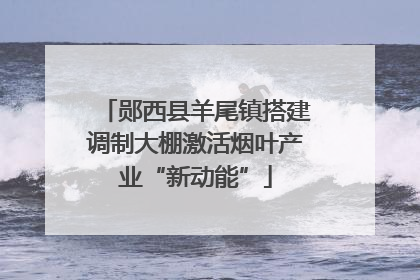 郧西县羊尾镇搭建调制大棚激活烟叶产业“新动能”