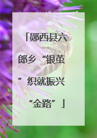 郧西县六郎乡“银茧”织就振兴“金路”