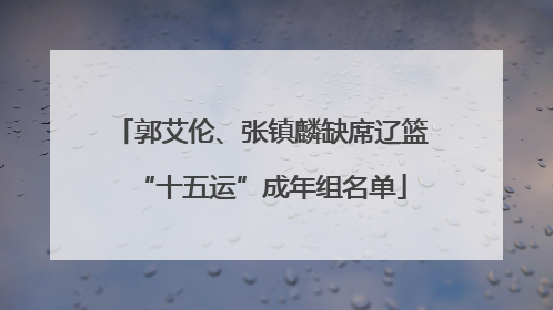 郭艾伦、张镇麟缺席辽篮“十五运”成年组名单