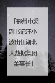 鄂州市委副书记汪小波出任湖北大数据集团董事长