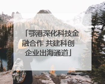 鄂港深化科技金融合作 共建科创企业出海通道