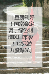 重磅利好！国常会定调，绿色制造风口来袭！12只潜力股曝光