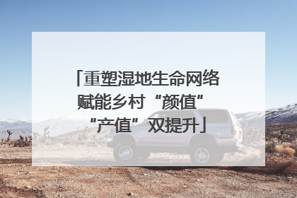 重塑湿地生命网络 赋能乡村“颜值”“产值”双提升