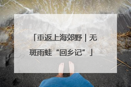 重返上海郊野｜无斑雨蛙“回乡记”