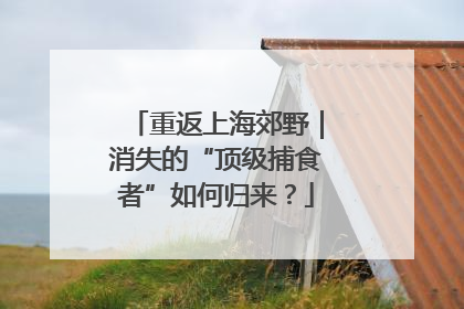 重返上海郊野｜消失的“顶级捕食者”如何归来？