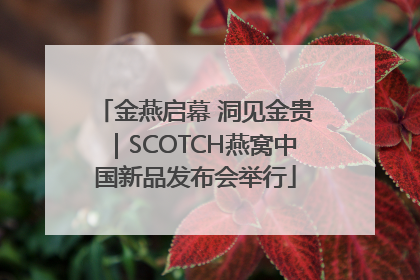 金燕启幕 洞见金贵｜SCOTCH燕窝中国新品发布会举行