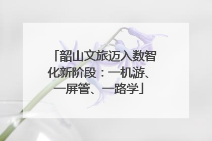 韶山文旅迈入数智化新阶段：一机游、一屏管、一路学