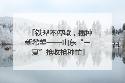 铁犁不停歇，播种新希望——山东“三夏”抢收抢种忙