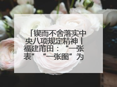 锲而不舍落实中央八项规定精神丨福建莆田：“一张表”“一张图”为基层减轻“数字负担”