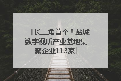 长三角首个！盐城数字视听产业基地集聚企业113家