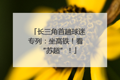 长三角首趟球迷专列：坐高铁！看“苏超”！