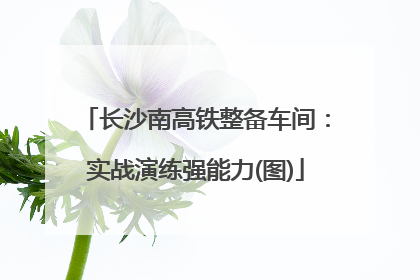 长沙南高铁整备车间：实战演练强能力(图)