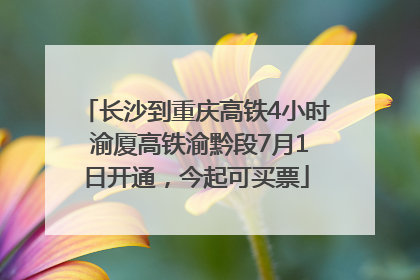 长沙到重庆高铁4小时 渝厦高铁渝黔段7月1日开通，今起可买票