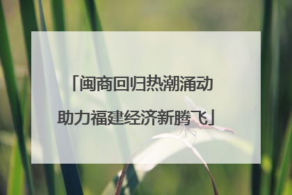 闽商回归热潮涌动 助力福建经济新腾飞