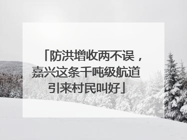 防洪增收两不误，嘉兴这条千吨级航道引来村民叫好