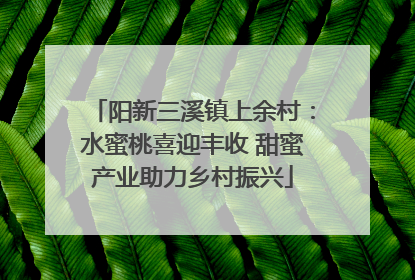阳新三溪镇上余村：水蜜桃喜迎丰收 甜蜜产业助力乡村振兴