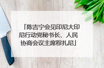 陈吉宁会见印尼大印尼行动党秘书长、人民协商会议主席穆扎尼
