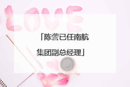 陈詟已任南航集团副总经理