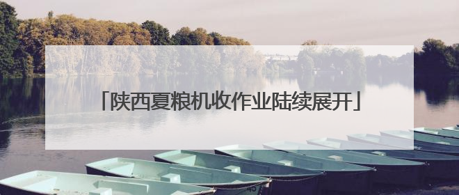陕西夏粮机收作业陆续展开