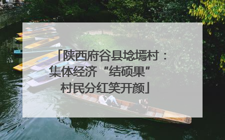 陕西府谷县埝墕村：集体经济“结硕果” 村民分红笑开颜