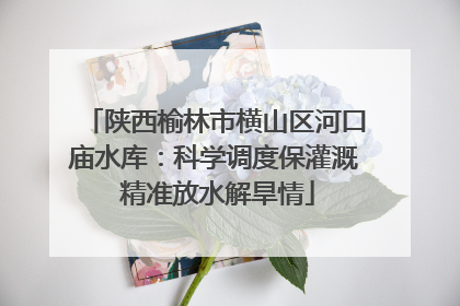 陕西榆林市横山区河口庙水库：科学调度保灌溉 精准放水解旱情