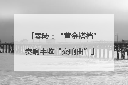 零陵：“黄金搭档”奏响丰收“交响曲”