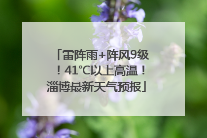 雷阵雨+阵风9级！41℃以上高温！淄博最新天气预报