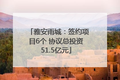 雅安雨城：签约项目6个 协议总投资51.5亿元