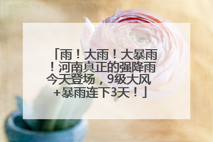 雨！大雨！大暴雨！河南真正的强降雨今天登场，9级大风+暴雨连下3天！