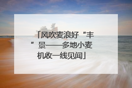 风吹麦浪好“丰”景——多地小麦机收一线见闻
