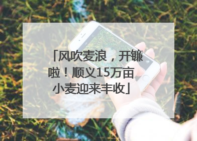 风吹麦浪，开镰啦！顺义15万亩小麦迎来丰收