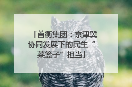 首衡集团：京津冀协同发展下的民生“菜篮子”担当