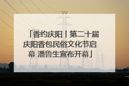 香约庆阳丨第二十届庆阳香包民俗文化节启幕 潘鲁生宣布开幕