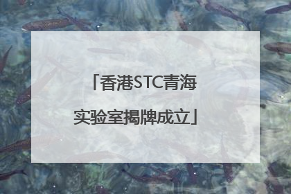 香港STC青海实验室揭牌成立