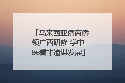 马来西亚侨商侨领广西研修 学中医看非遗谋发展