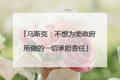 马斯克：不想为美政府所做的一切承担责任
