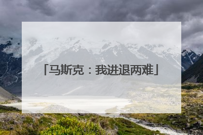 马斯克：我进退两难
