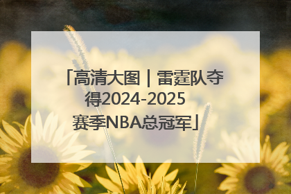高清大图｜雷霆队夺得2024-2025赛季NBA总冠军