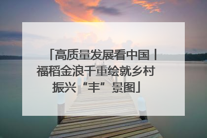 高质量发展看中国丨福稻金浪千重绘就乡村振兴“丰”景图