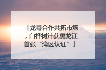 龙粤合作共拓市场，白桦树汁获黑龙江首张“湾区认证”