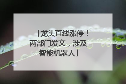 龙头直线涨停！两部门发文，涉及智能机器人