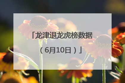 龙津退龙虎榜数据（6月10日）
