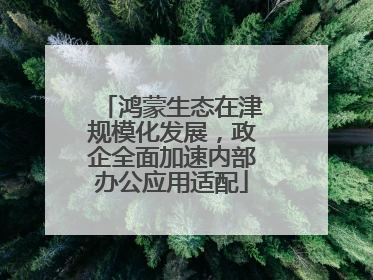 鸿蒙生态在津规模化发展，政企全面加速内部办公应用适配