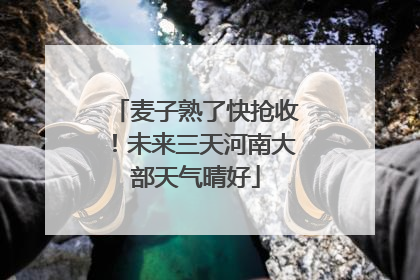 麦子熟了快抢收！未来三天河南大部天气晴好