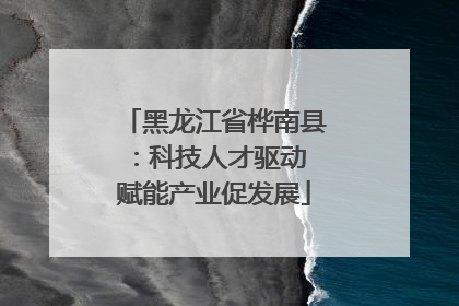 黑龙江省桦南县：科技人才驱动 赋能产业促发展