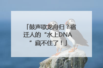 鼓声歇龙舟归？宿迁人的“水上DNA”藏不住了！